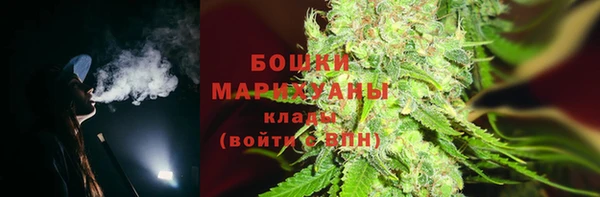 дмт Лиски