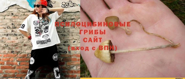 гашик Липки