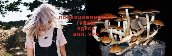 гашик Липки