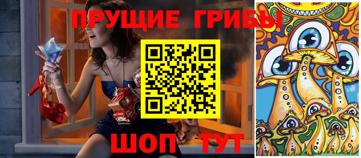 Галлюциногенные грибы Psilocybine cubensis  Галлюциногенные грибы прущие грибы  Владивосток  Вход с VPN 